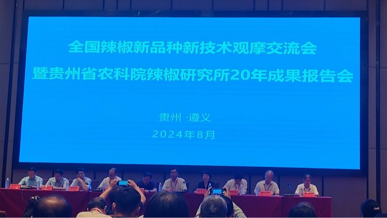 我院蔬菜研究所科技人員參加全國辣椒新品種新技術觀摩交流會